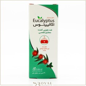 تصویر محلول بخور اکالیپتوس ایران داروک ۶۰ میلی ‎لیتر Iran Darouk Eucalyptus Inhaler Drop 60ml