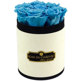 تصویر Sky Blue Eternal Roses in Coco Small Flocked Box | کد: ZNB-1IXM 