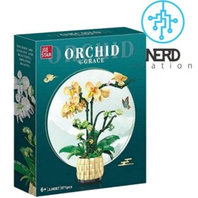 تصویر گلدان ارکیده 