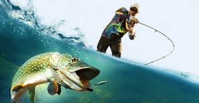 تصویر نخ Blonics XP (بولدوزر) ۱۰۰متری 