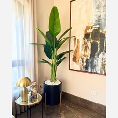 تصویر درختچه مصنوعی پرنده بهشتی قد 160 13 برگ 