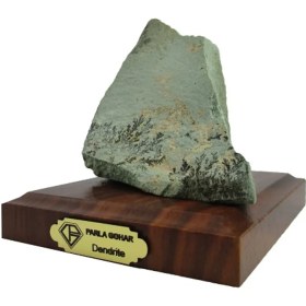 تصویر سنگ شجر فسیلی (دندریتی ) 6428 