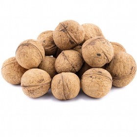 تصویر گردو ایرانی ممتاز 