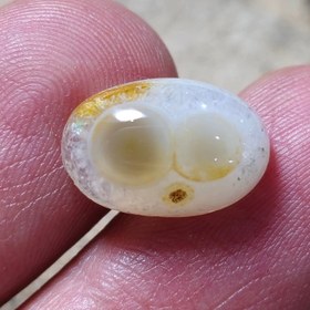 تصویر باباقوری طبیعی دوچشم 