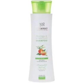 تصویر شامپو مورینگا و گریپ فروت سینره مخصوص موهای چرب 250 میلی لیتر 