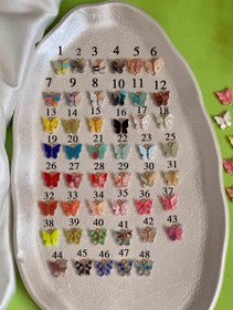 تصویر پروانه 