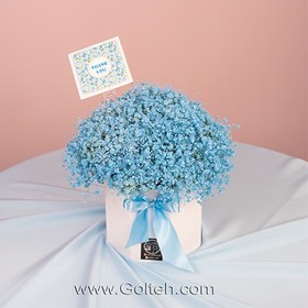 تصویر باکس گل ژیپسوفیلا آبی 