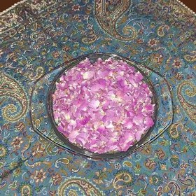 تصویر گل محمدی 