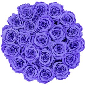 تصویر Lavender Eternal Roses in a Large Black Flocked Box | کد: ZNB-1J9P 