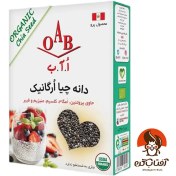 تصویر دانه چیا ارگانیک OAB 