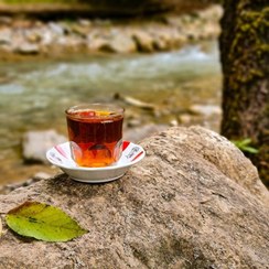 تصویر چای سیاه دستچین ممتاز لاهیجان گلستان | طعم اصیل چای شمال 