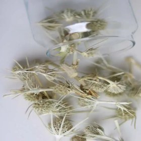 تصویر بوقناق خشک 