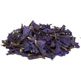 تصویر گل گاو زبان خشک 