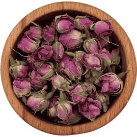 تصویر غنچه گل محمدی 