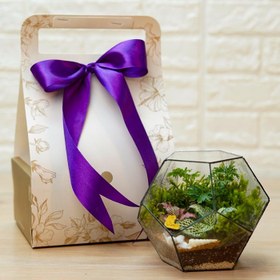 تصویر تراریوم مدل پنتاگون 