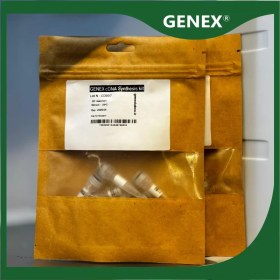 تصویر کیت سنتز cDNA 