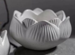 تصویر بیس خام شات آلاله 