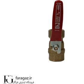 تصویر شیر گازی سارا 