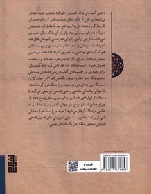 تصویر صید مرغ سنگ خوار 