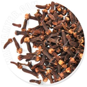 تصویر گل میخک 