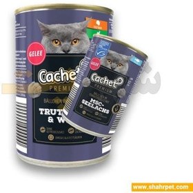 Aldi cachet hot sale cat food