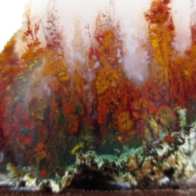 تصویر سنگ شجر راف کد 2055 