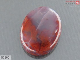 تصویر نگین شجر خوش رنگ کد 52590 