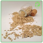 تصویر تخم کتان سفید (ایرانی | طیور) 