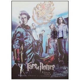 تصویر مجموعه اکسسوری فلزی هری پاتر 