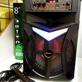 تصویر اسپیکر چمدانی BIG SOUND 8" TTD _8243 