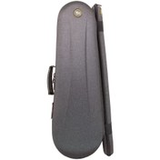 تصویر هاردکیس ویولن دیما 