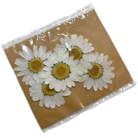 تصویر لوازم خرازی 