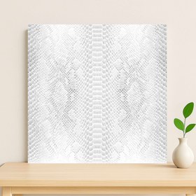 تصویر بک‌دراپ طرح زمینه سفید بکگراند عکاسی محصول 93