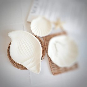 تصویر استند صدف حلزونی 
