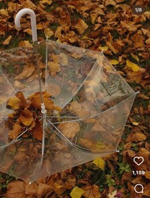 تصویر ‌چتر شیشه ای بزرگ 