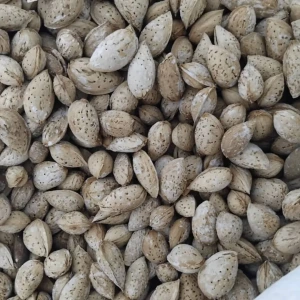 تصویر فروشگاه سینا شیراز