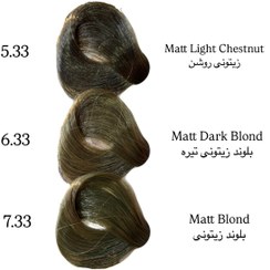 تصویر رنگ مو گرجس ۱۰۰ میل – سری زیتونی (Matt) - ۶.۳۳ Gorgeous Hair Color 100ml – Olive Series (M)