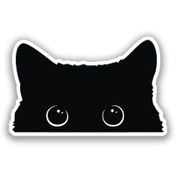 تصویر استیکر لپ تاپ و موبایل استیکریا طرح گربه کد CatSt8053 