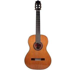 تصویر گیتار مارتینز Martinez مدل MC 48C 