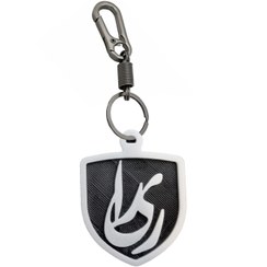 تصویر جاسوییچی مدل RiRa ری را 