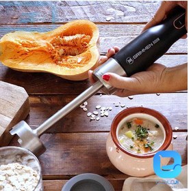 تصویر گوشت کوب برقی گریمن مدل GR-HB351 Grimmen GR-HB351 Hand Blender