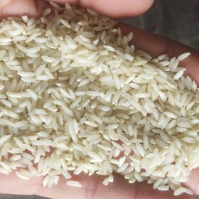 تصویر برنج عنبر بو 