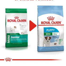 تصویر غذای خشک سگ مینی پاپی رویال کنین (Royal Canin Mini Puppy) وزن 8 کیلوگرم 