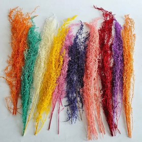 تصویر گل خشک ریز 