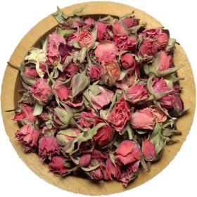 تصویر غنچه رز رنگی 