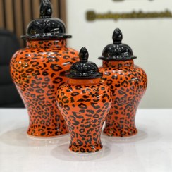 تصویر ست جینجر جار پلنگی 