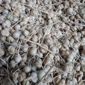 تصویر اسپند دونه/(100 گرم) 