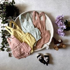 تصویر پیش سینه دار رنگی 