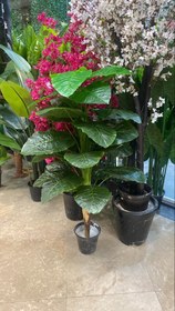 تصویر درختچه بابا ادم مصنوعی وارداتی کیفیت درجه1 