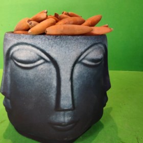 تصویر گلدان چند رخ کوچک 